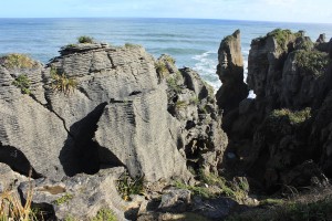 Paparoa NP - Gletscher-031